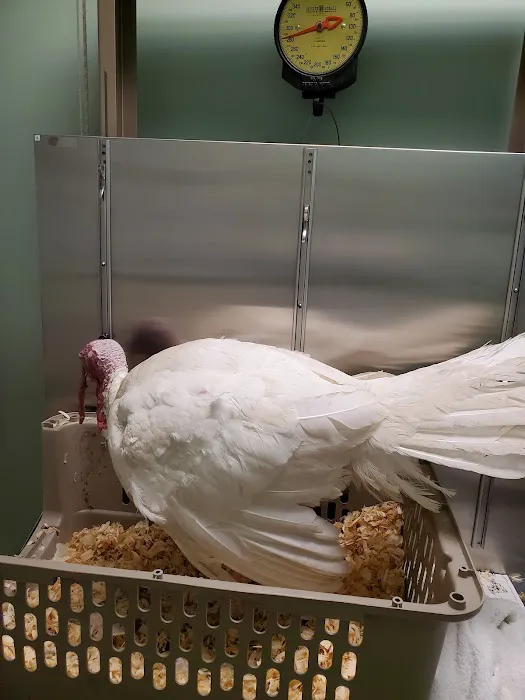 Hurley Veterinary Hospital Picture 8