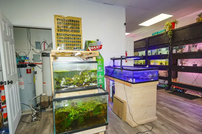 Angelo's Tropical Fish World Picture 3