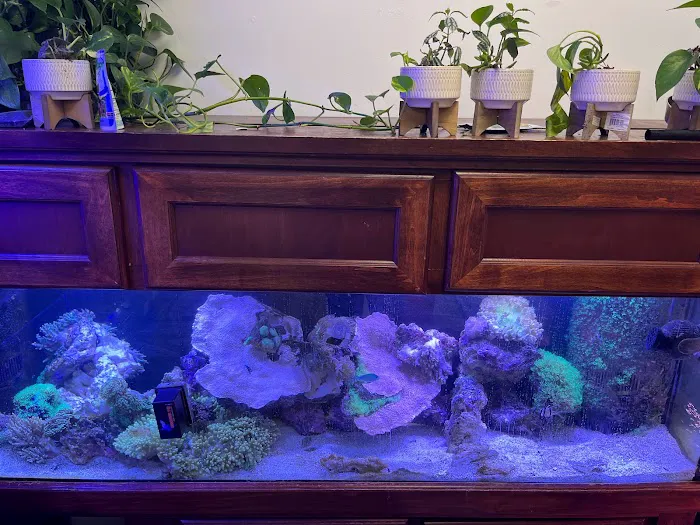Angelo's Tropical Fish World Picture 7