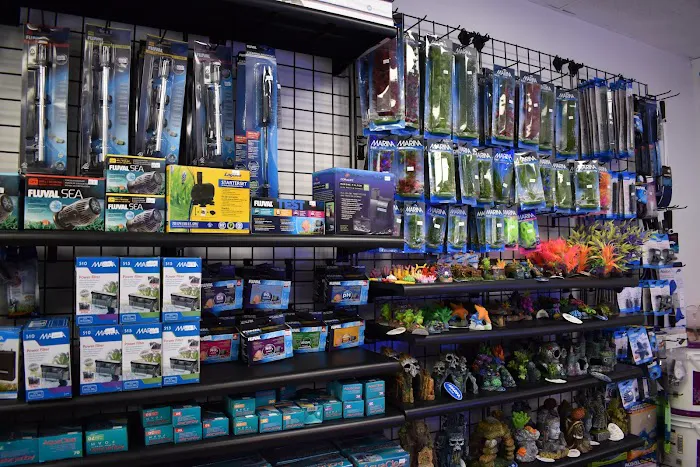 Angelo's Tropical Fish World Picture 5