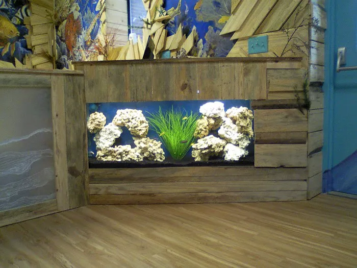 Aquatic Escapes Aquariums Picture 3