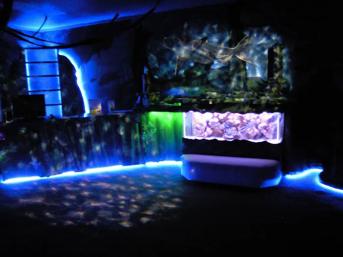 Aquatic Escapes Aquariums Picture 8