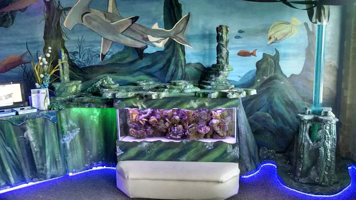 Aquatic Escapes Aquariums Picture 6