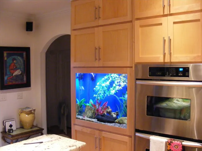 Aquatic Escapes Aquariums Picture 5