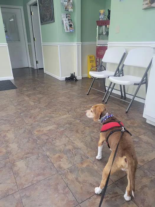 Ark Animal Hospital Picture 3