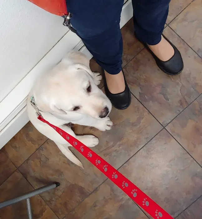 Ark Animal Hospital Picture 5