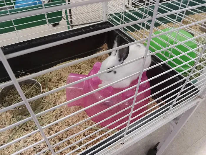 Dubey's Pet World Picture 2