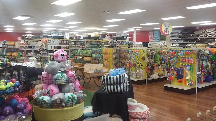 Pet Supermarket Picture 1