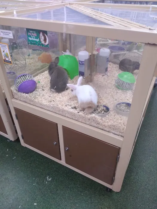 Pet Supermarket Picture 3
