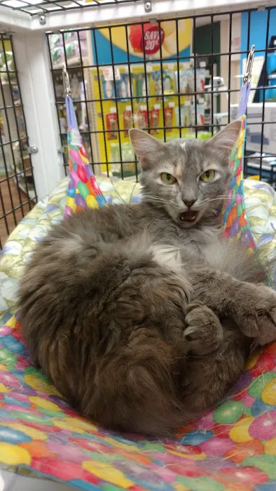 Pet Supermarket Picture 2