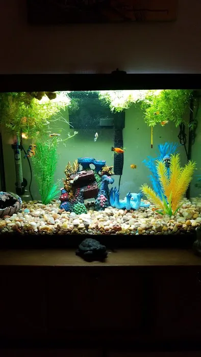 Pet Supermarket Picture 8