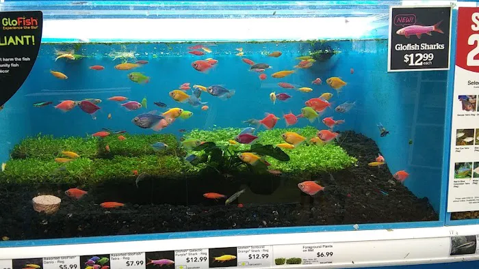 Pet Supermarket Picture 7