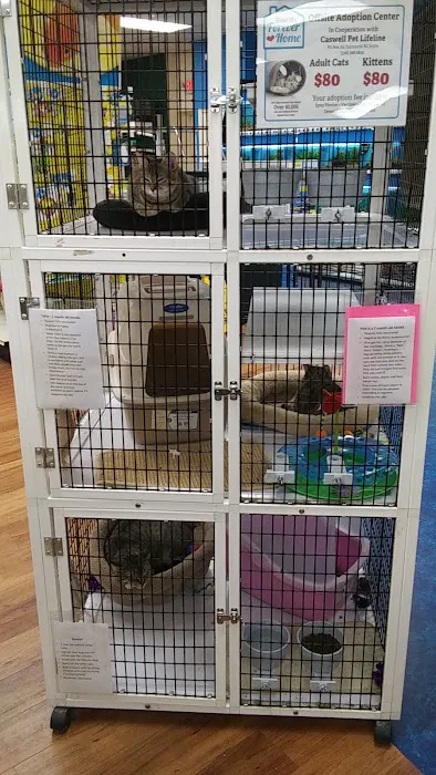 Pet Supermarket Picture 10