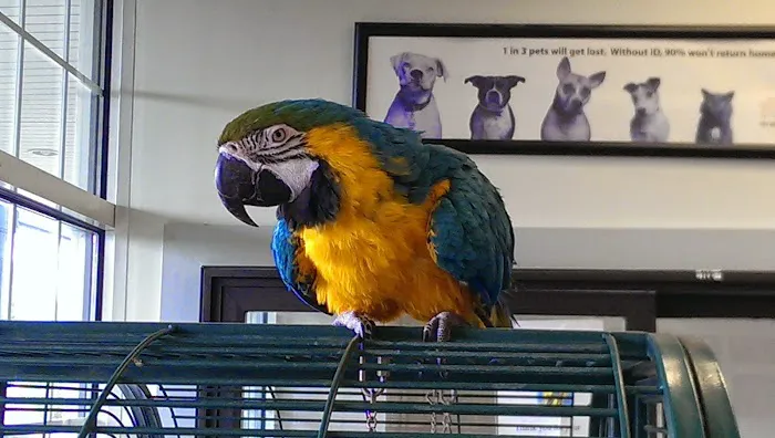 Hyde Park Animal Hospital Picture 6