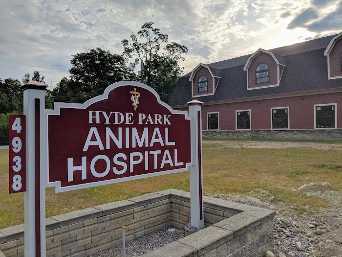 Hyde Park Animal Hospital Picture 4