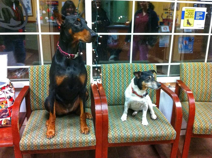Hyde Park Animal Hospital Picture 9