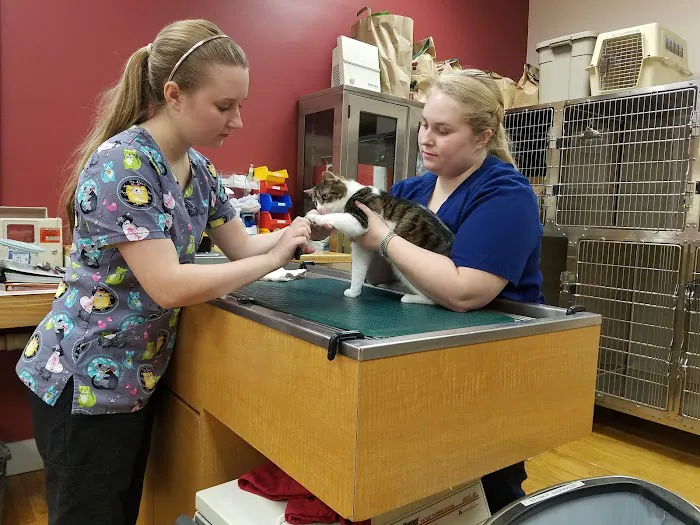 Argos Animal Hospital Picture 8