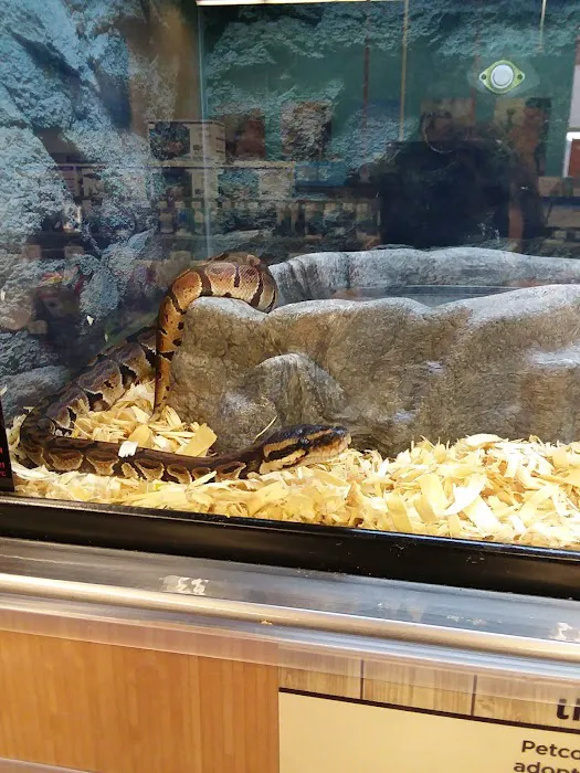 Petco Picture 1