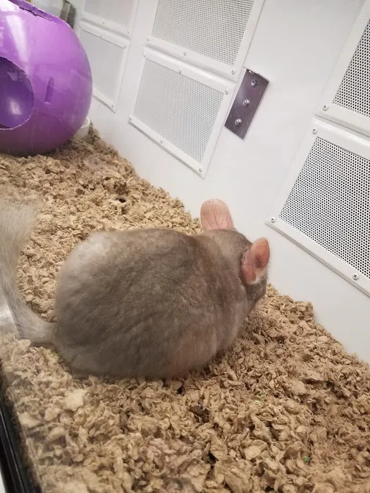 Petco Picture 2