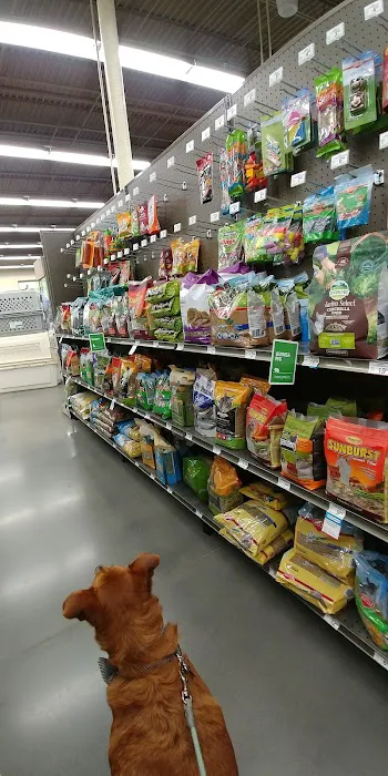 Petco Picture 6