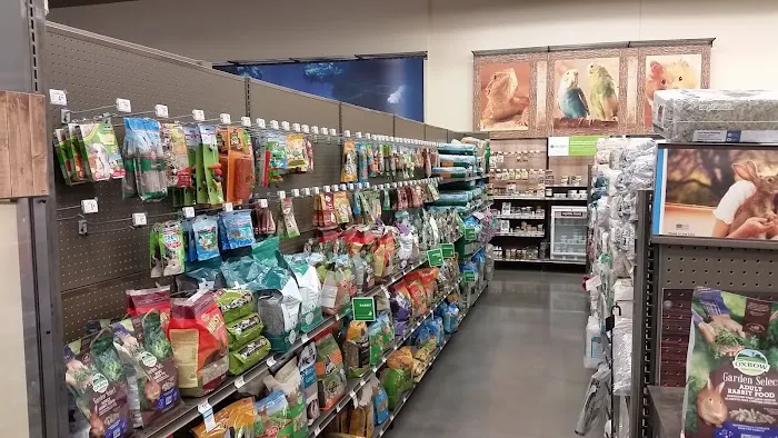 Petco Picture 4
