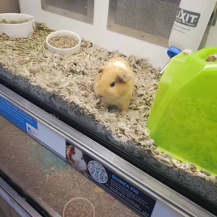 Petco Picture 9