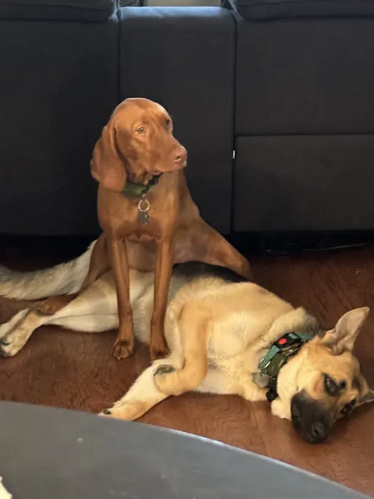 Patty's Puppy Love Picture 10