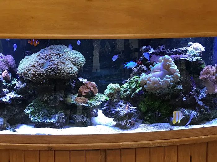 Reef Architects Picture 7