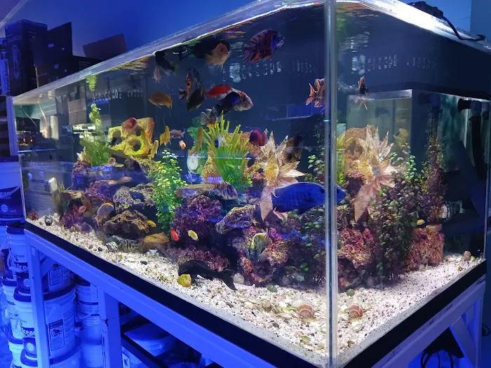 Reef Architects Picture 6