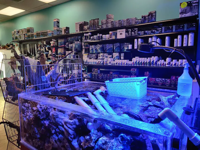 Reef Architects Picture 8