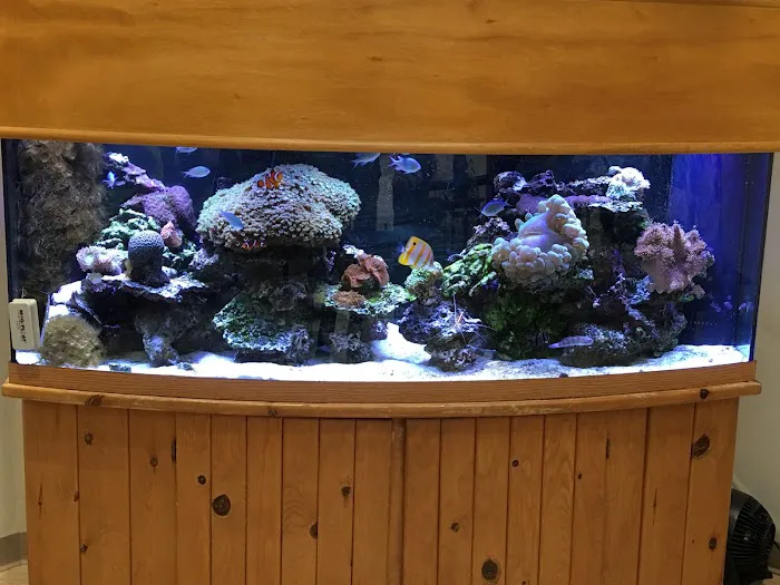 Reef Architects Picture 9