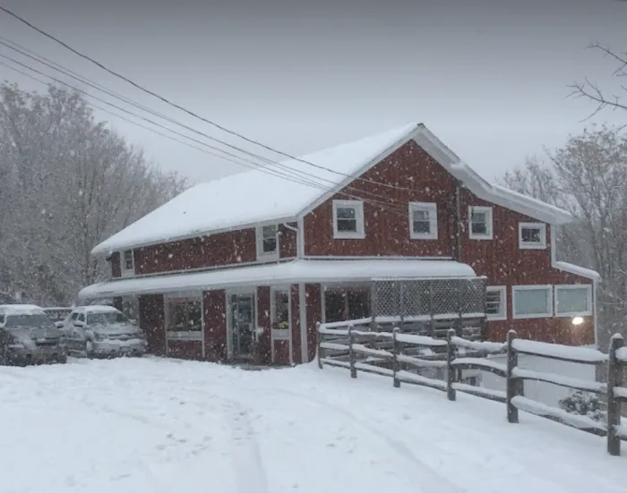 Pleasant Valley Animal Hospital Picture 10