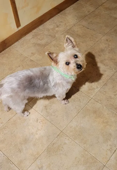 Dutchess County Animal Hospital Picture 10
