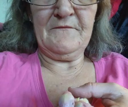 Sherry's Handfed Bird Babies