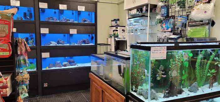 Fort Wagg Pet Store Picture 3