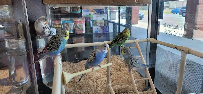 Fort Wagg Pet Store Picture 4