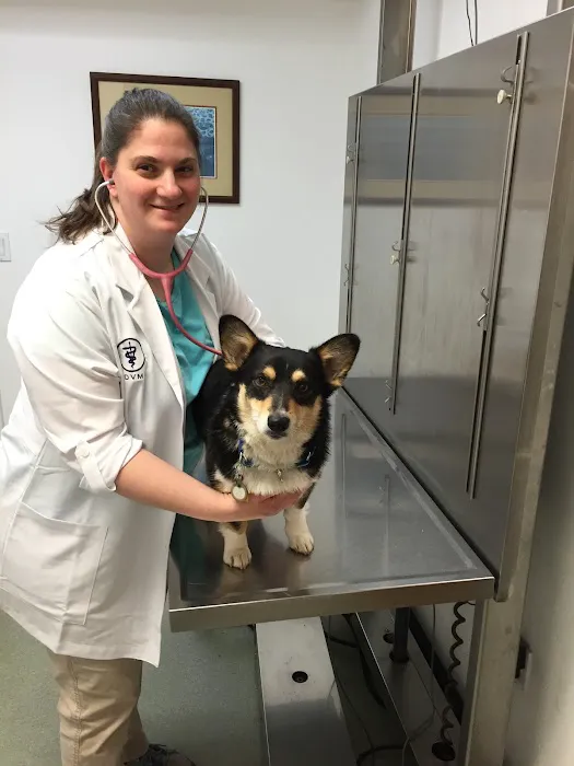 Valley Veterinary Hospital Picture 6