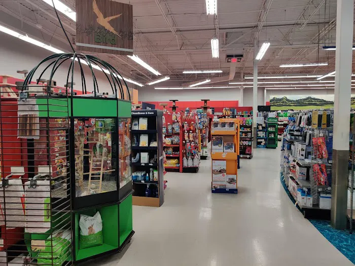 Petco Picture 2