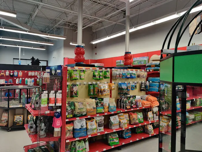 Petco Picture 1