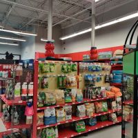 Petco ico