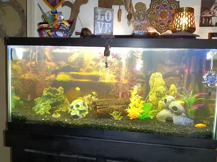 Petco Picture 3