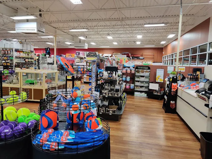 Pet Supermarket Picture 2