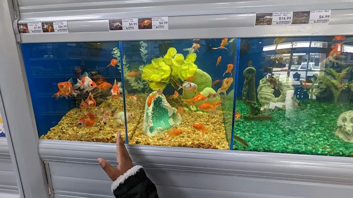 Pet Supermarket Picture 1