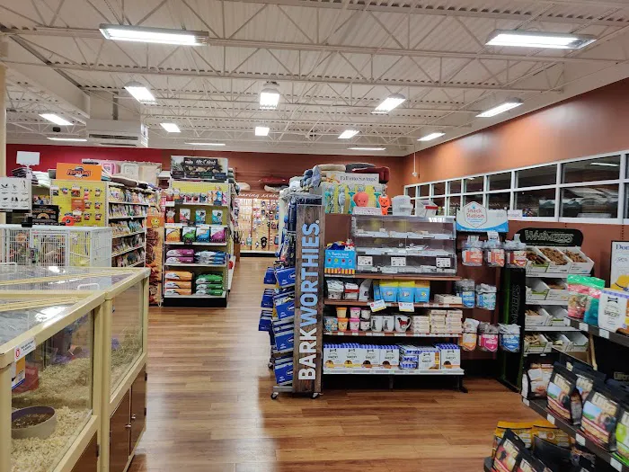 Pet Supermarket Picture 4