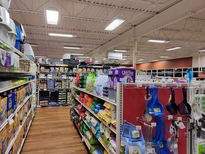 Pet Supermarket Picture 5