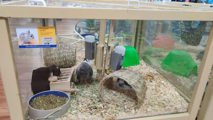 Pet Supermarket Picture 7