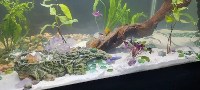 archdale fish & plants Picture 1