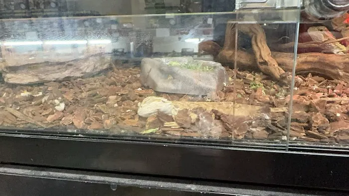 Pet Barn Picture 1