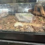 Pet Barn