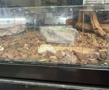 Pet Barn